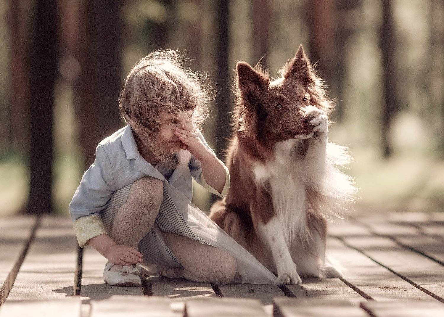 , Андрей Селиверстов