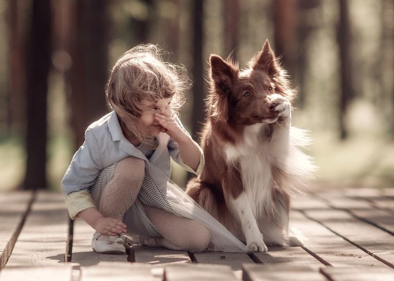 About noses ... )))photo preview