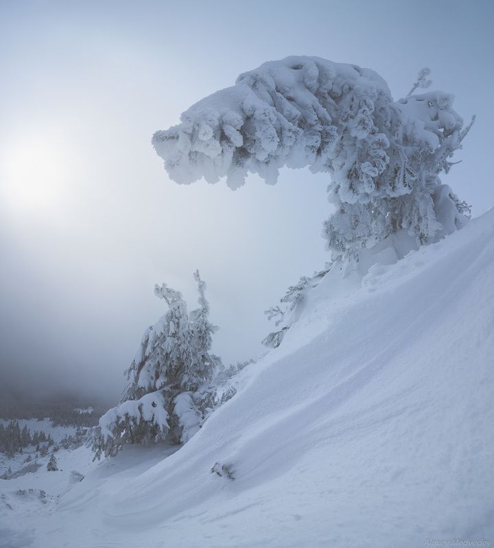 Карпаты, Украина До весныphoto preview