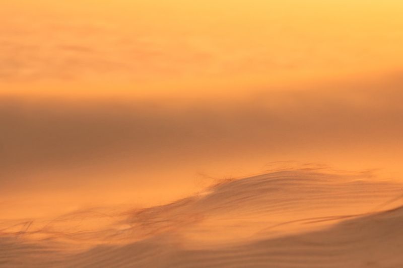 Куршская коса, пески, калининград, рассвет  Куршская косаphoto preview