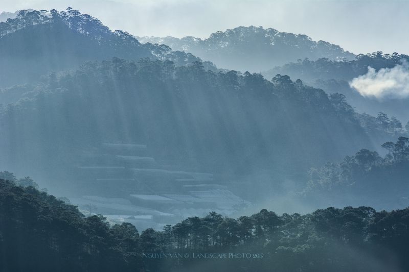 Fog Da Lat 2019photo preview