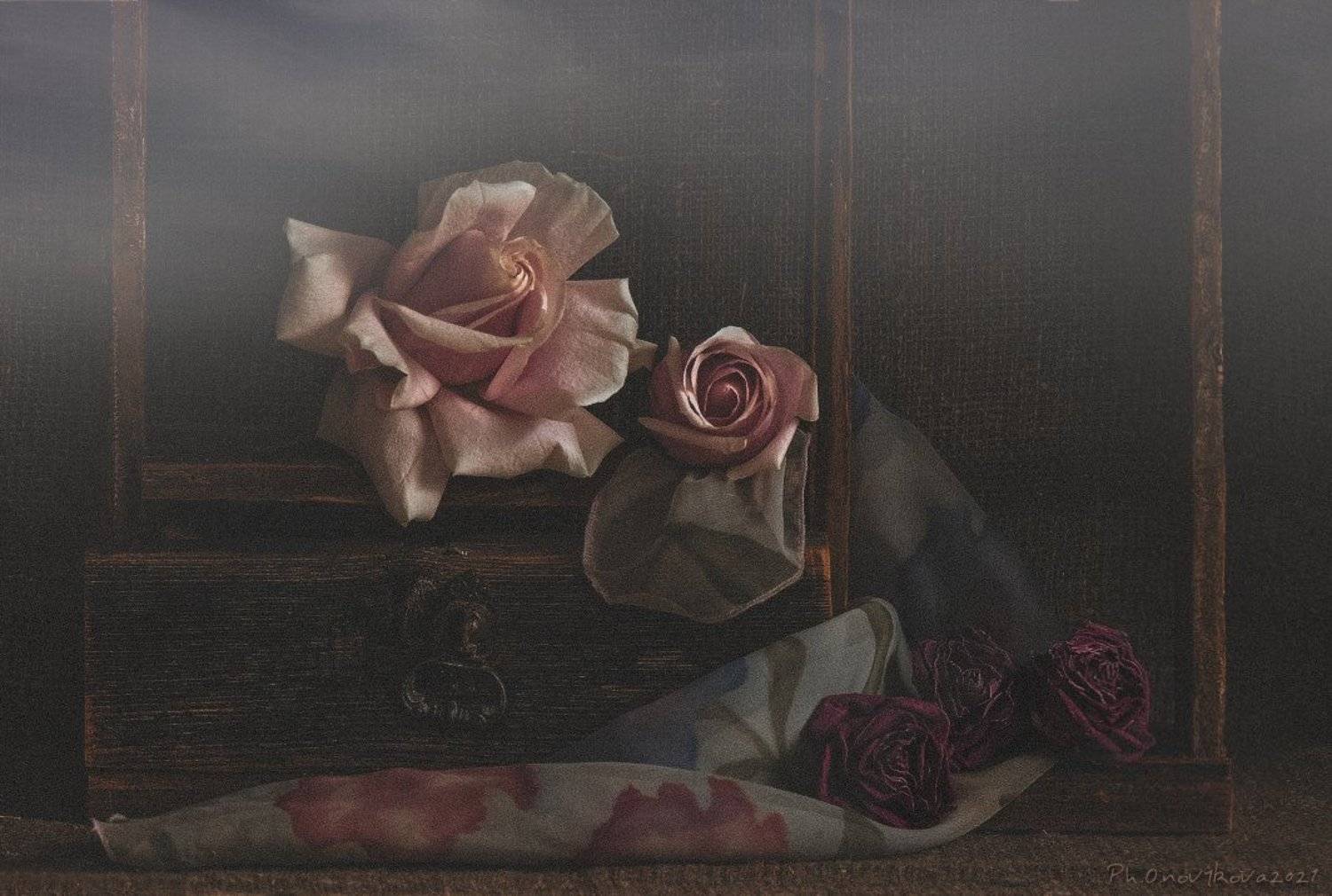 , Ольга Новикова