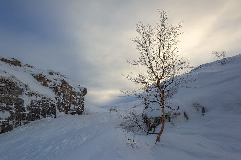 ...ветры февраляphoto preview