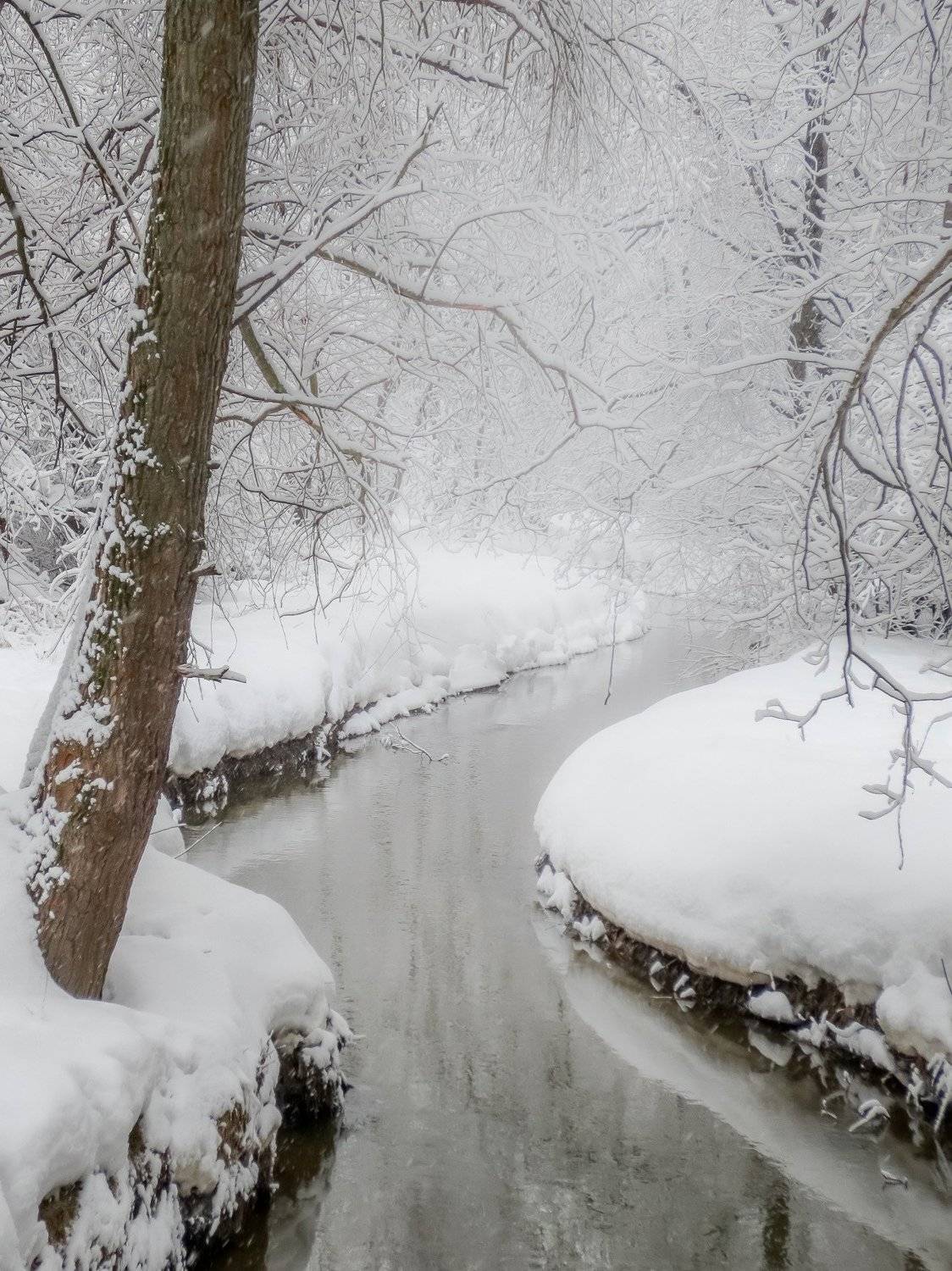 ***. Автор: Julia Kaissa зима, winter, снег, snow, природа, nature, пейзаж, ручей, Julia Kaissa
