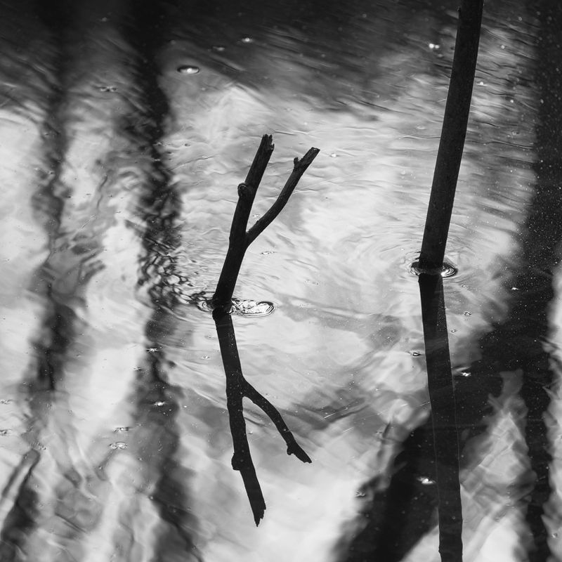 2021 фото превью