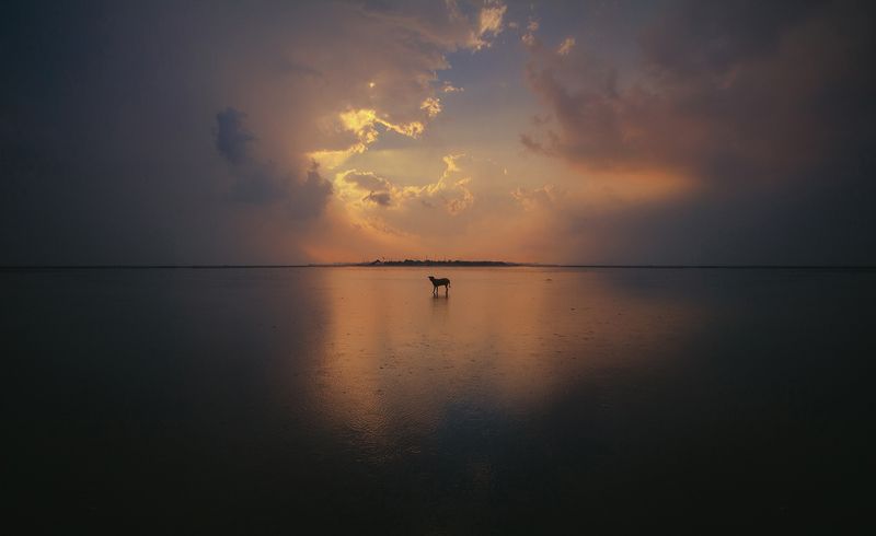 Only in the stormphoto preview