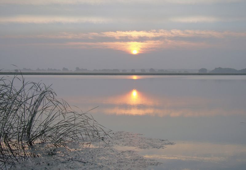 Сияниеphoto preview