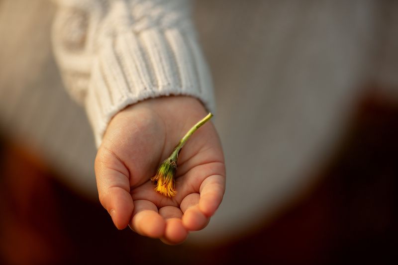 Первые цветыphoto preview