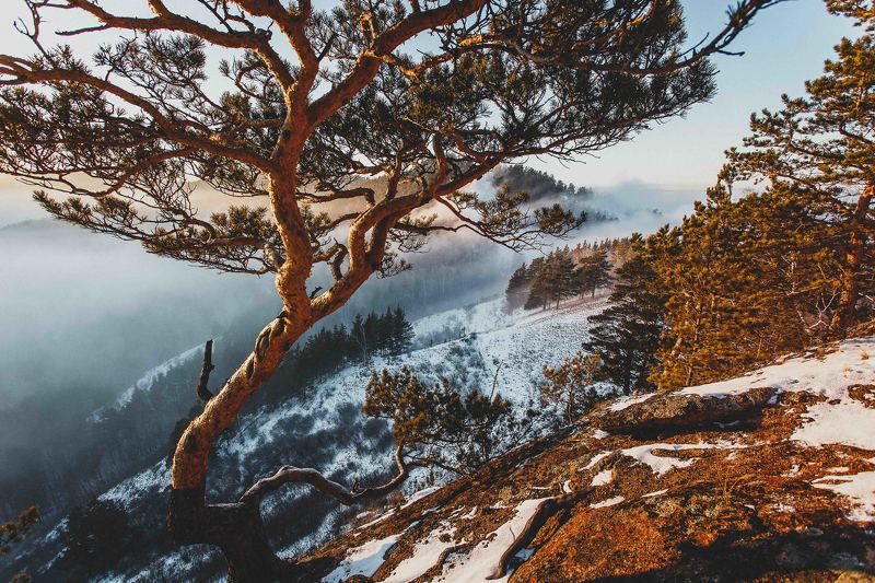 столбы, красноярск, природа, горы, зима ***photo preview