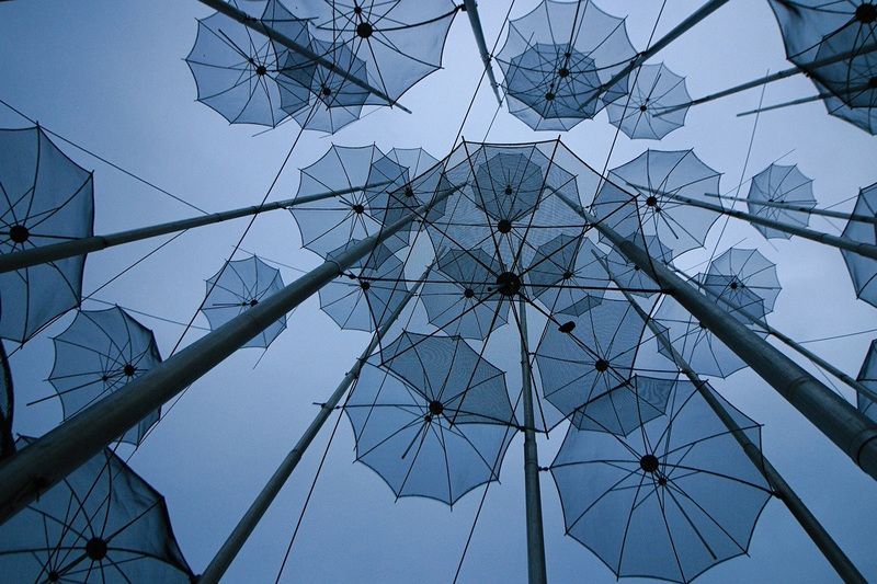 umbrella, above, up, look Umbrella Rainphoto preview