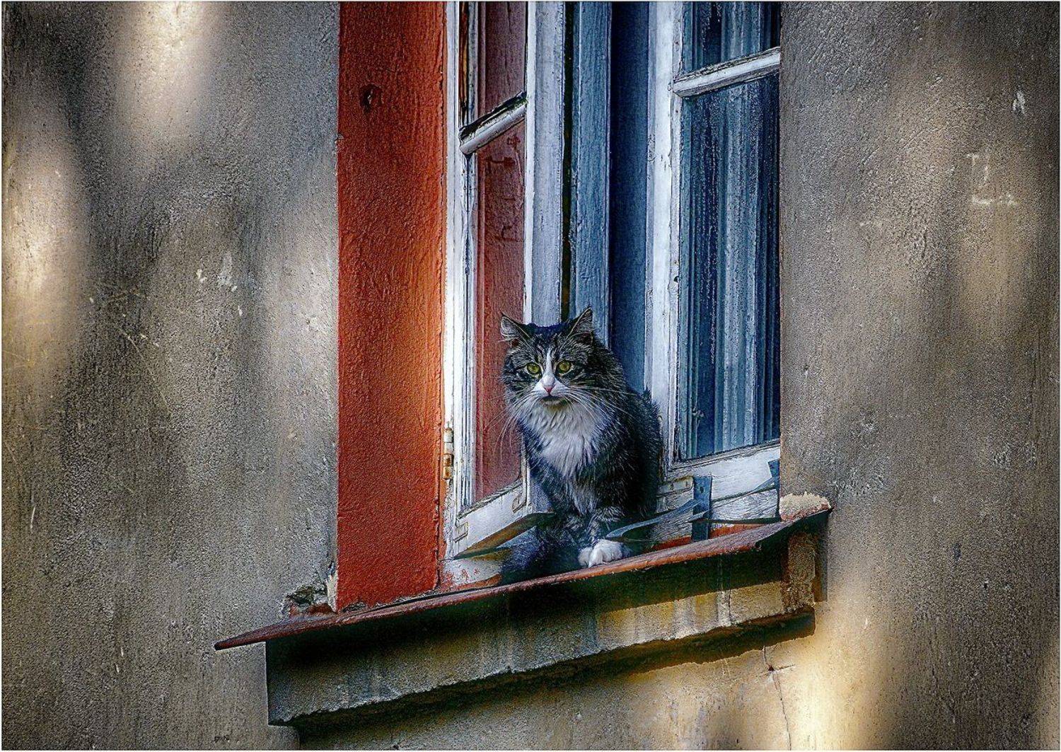 Окно.. Автор: Viktor , Viktor