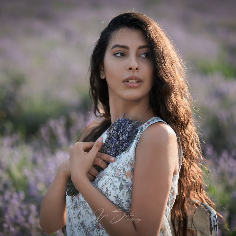 Lavenderphoto preview