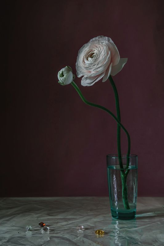 натюрморт, стекло, цветы, ранункулюс Ранункулюсphoto preview