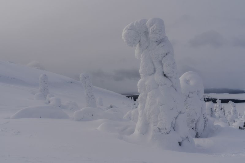 Снежные исполиныphoto preview