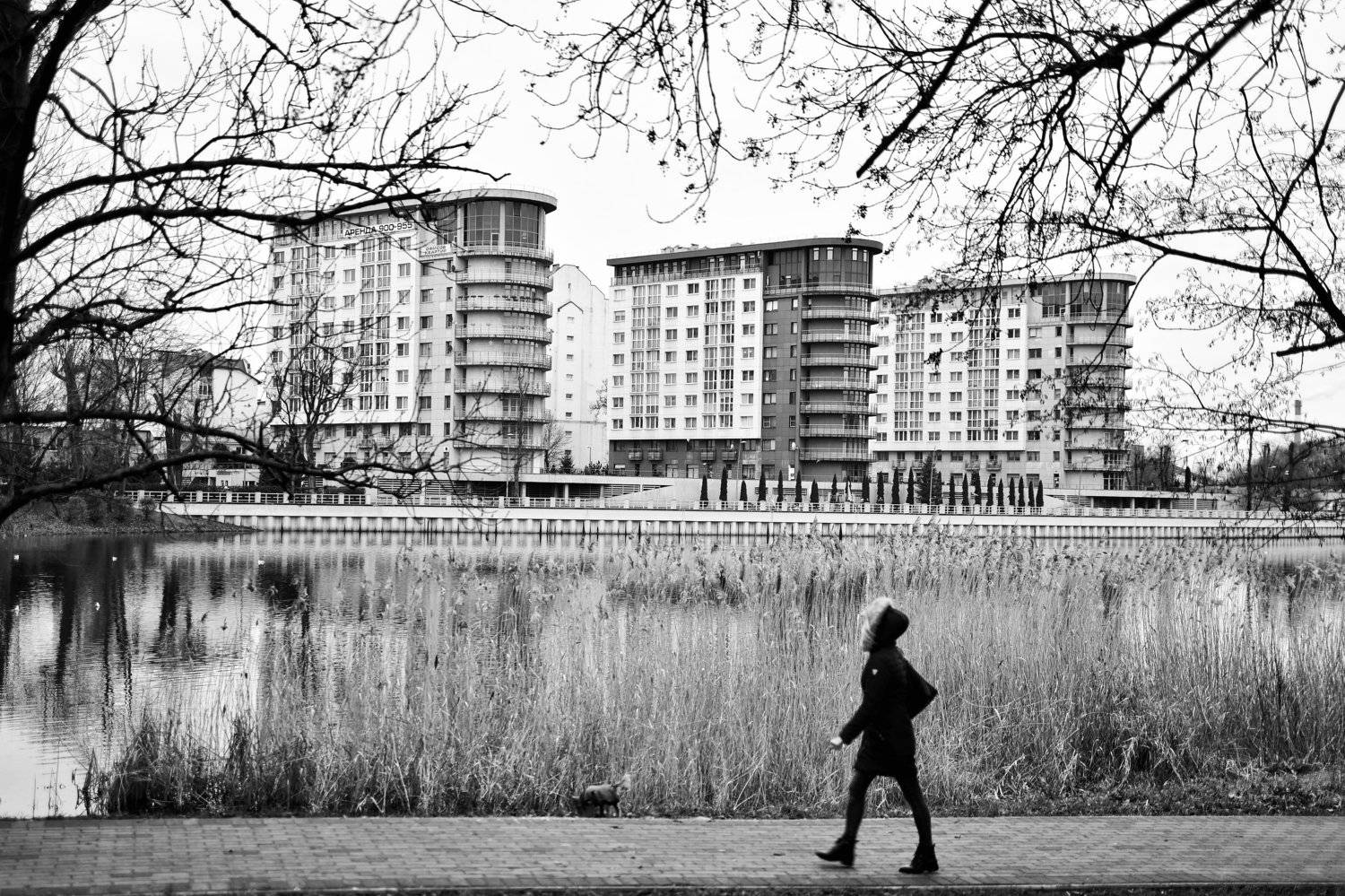 Прогулка. Автор: Владимир Леликов-Кузьменко , Владимир Леликов-Кузьменко