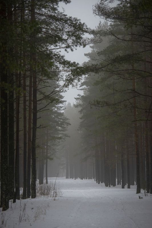 Тихая дымкаphoto preview