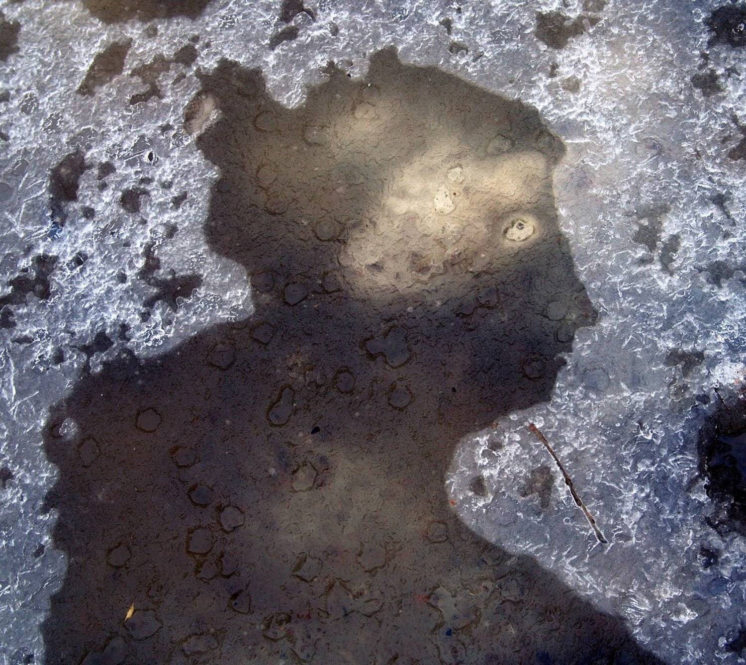 pareidolia, ПОЛУЕВ ИЛЬЯ