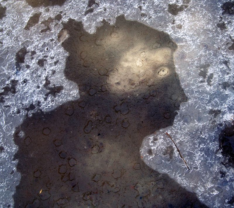 pareidolia ***photo preview