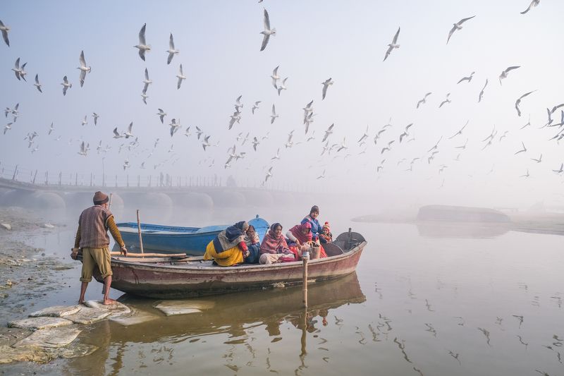 fly, birds, boats Life is a journey not a destination.photo preview