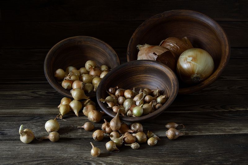 Скоро посевная.photo preview