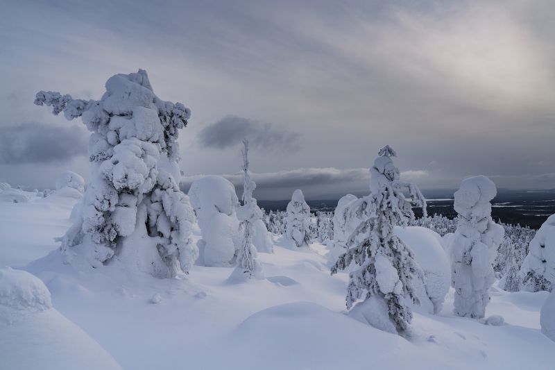 Верной дорогой идём, товарищи..photo preview