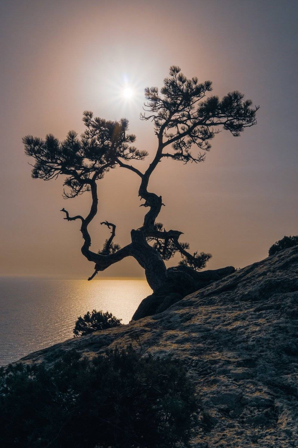 , Андрей Кривцов