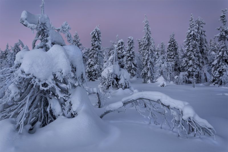 природа, пейзаж, север, кольский, природа россии, дикая природа, закат, свет, облака, вечер, зима *photo preview