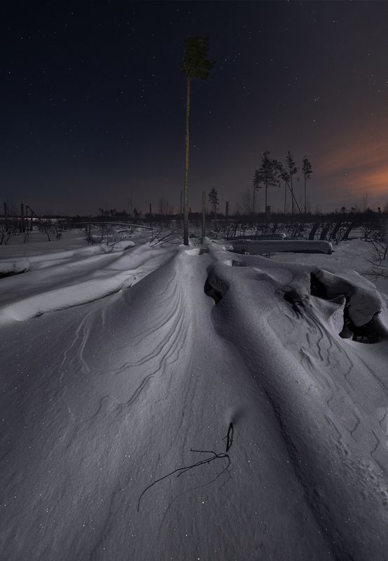 зима, мороз, ночь, сугроб, дерево Зимний буреломphoto preview