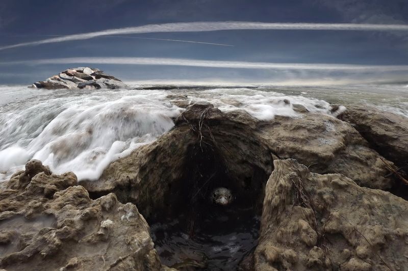 одесса ХАДЖИБЕЙphoto preview