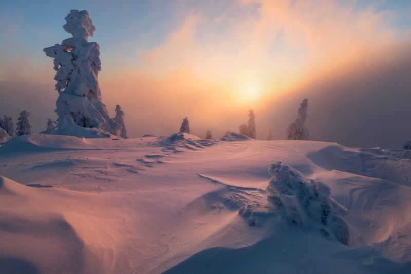 landscape, tree, sunrise, panorama, fog Red mountainphoto preview