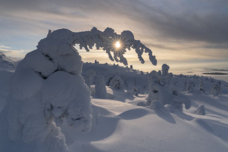 Торшер для солнышкаphoto preview