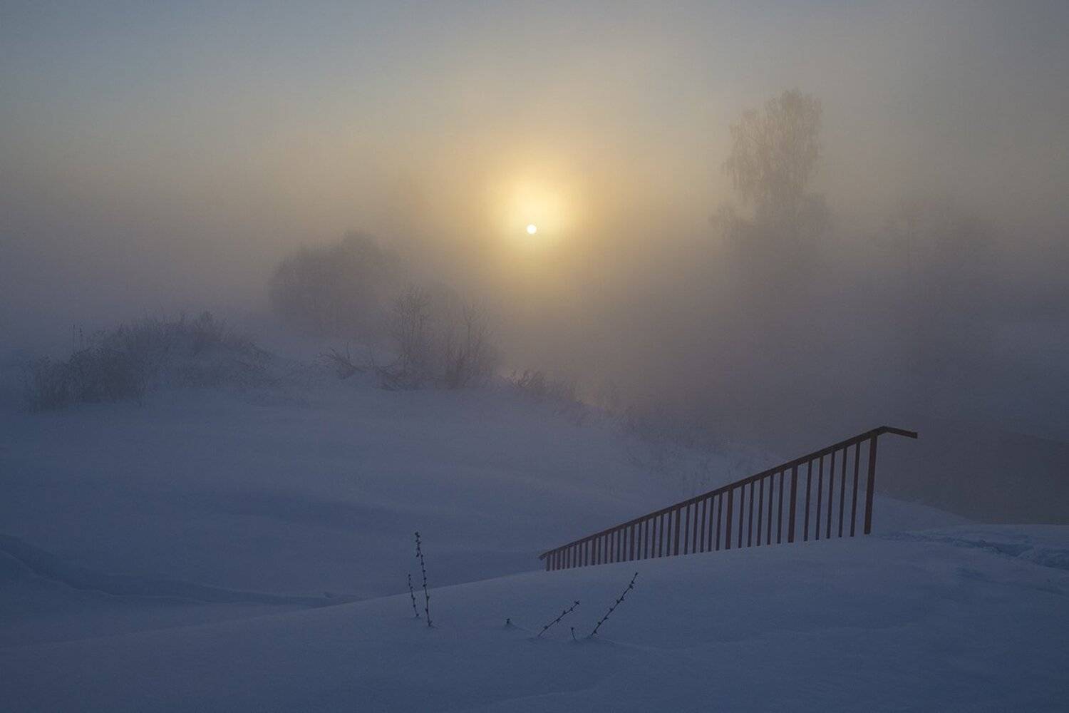 Мороз зиме за обычай. Автор: Михаил Агеев утро, рассвет, зима, истра, Михаил Агеев
