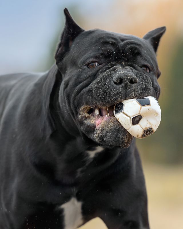 мы выбираем спорт! )photo preview