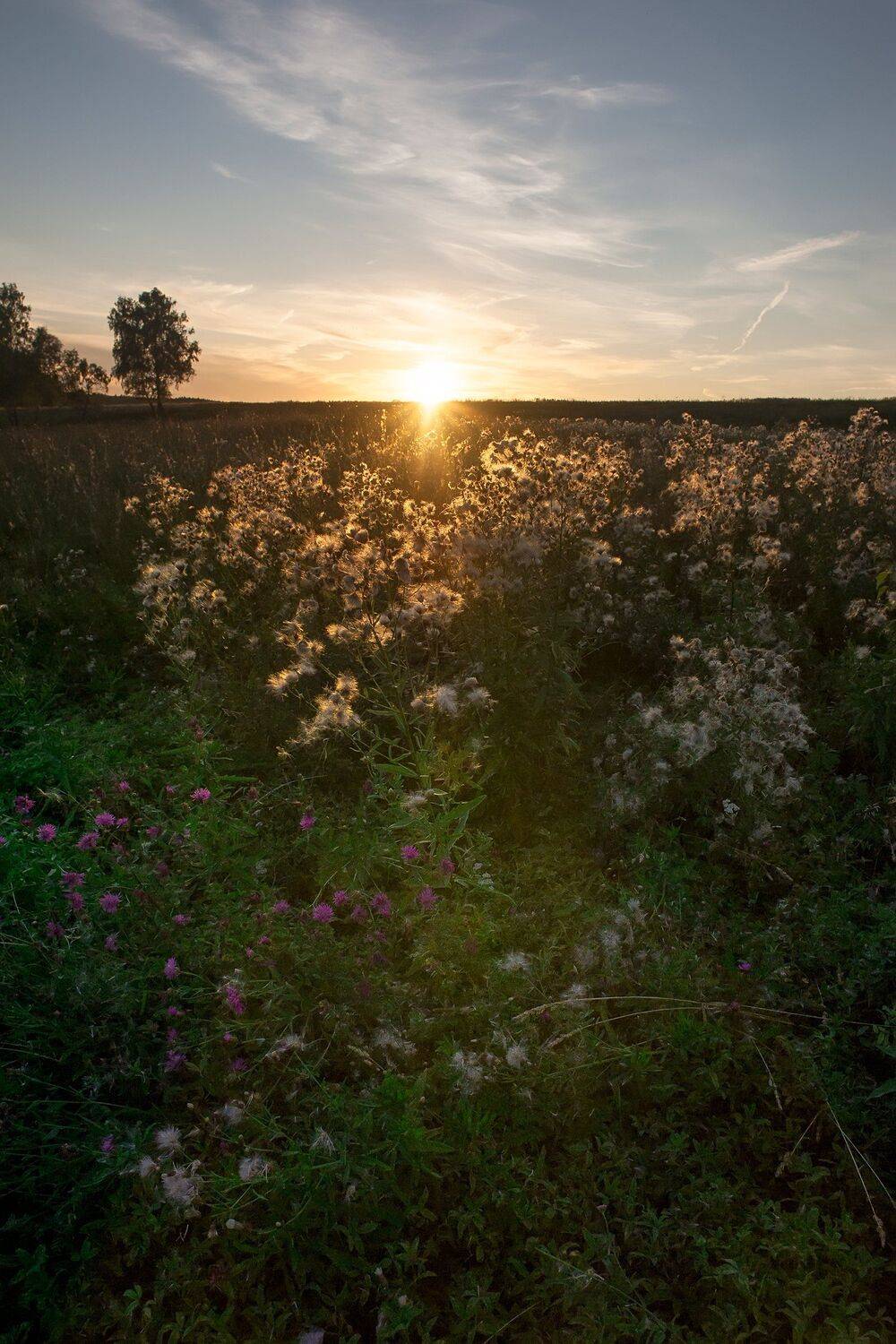 , Виталий Стрельцов