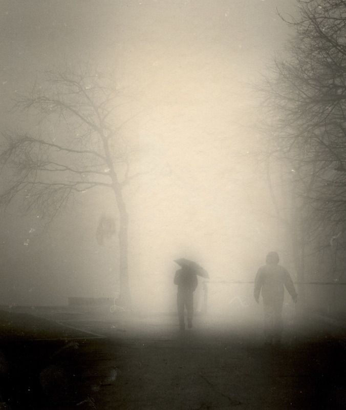 filmphotography, analogphotography, darkroomphotography, silvergelatineprint, b&w, blackandwhite Black umbrellaphoto preview