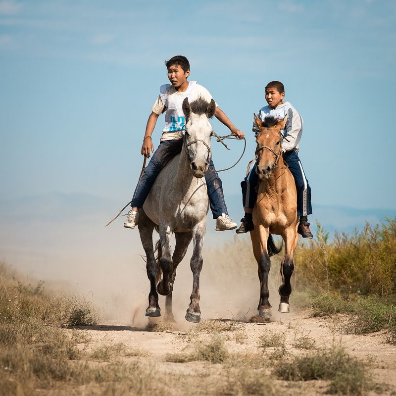 Всадникиphoto preview