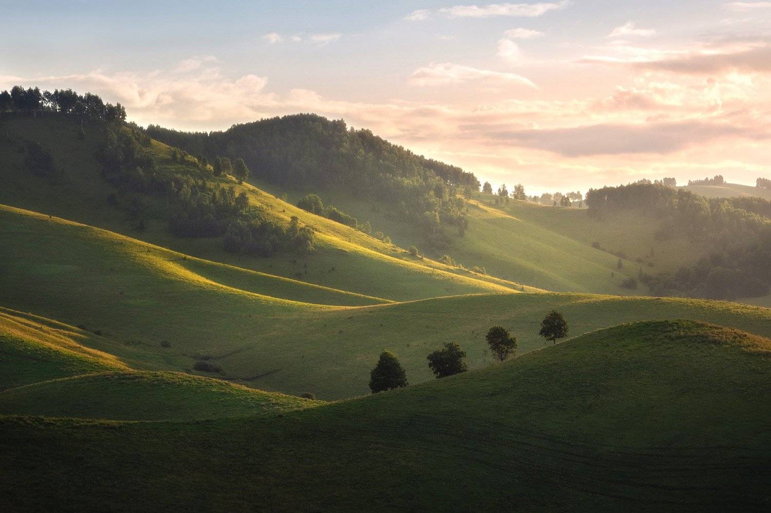 Паломники. Автор: Алена Рубан алтайский край, алтай, предгорья, холмы, летний пейзаж, бирюксинский перевал, алтайский район, семинский хребет, утренние краски, утро, линии, Алена Рубан