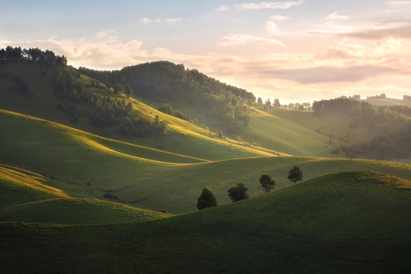 алтайский край, алтай, предгорья, холмы, летний пейзаж, бирюксинский перевал, алтайский район, семинский хребет, утренние краски, утро, линии Паломники фото превью