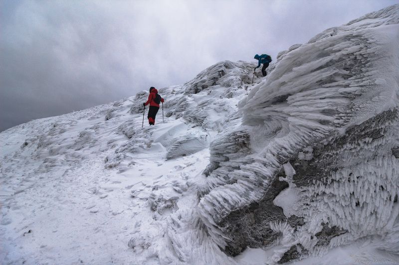 Карпаты, Украина, петрос, зима Поднадулоphoto preview
