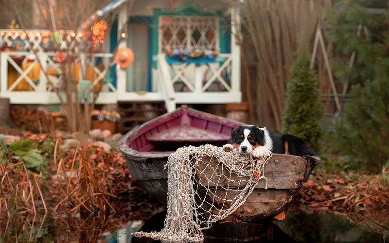 релаксphoto preview