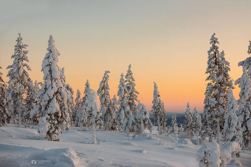 мороз, зима, снег, сибирь, якутия, дальний восток, деревья, лес, frost, winter, snow, siberia, yakutia, far east, trees, forest photo preview