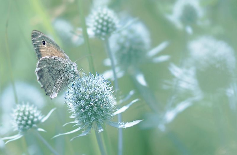 Затерянный мирphoto preview