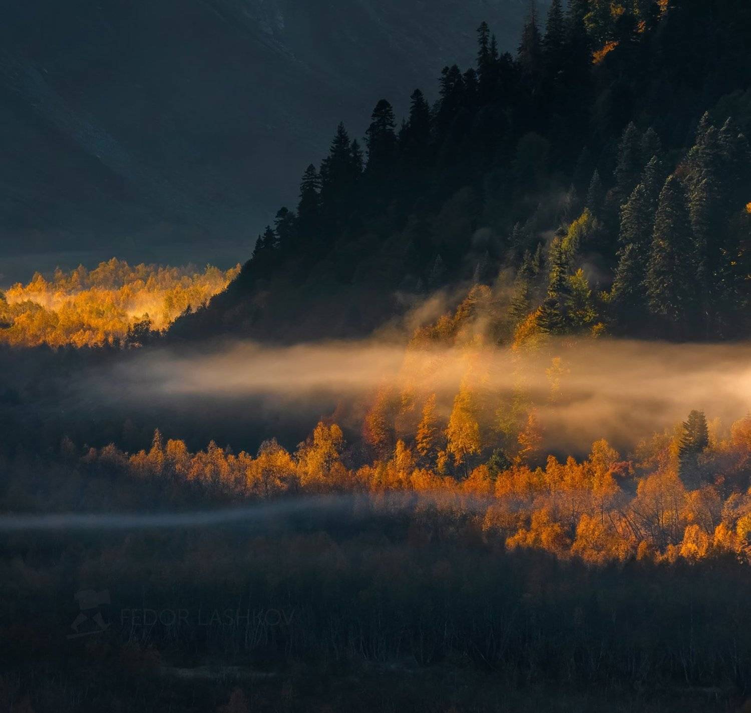 Контраст. Автор: Лашков Фёдор горы, гора, домбай, рассвет, осень, гоначхирском ущелье, тебердинский государственный природный биосферный заповедник, кавказ, осенний, туман, лес,, Лашков Фёдор