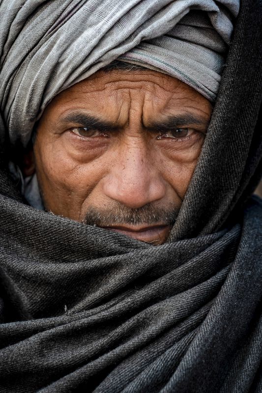 winter cold covering Winter stories...photo preview