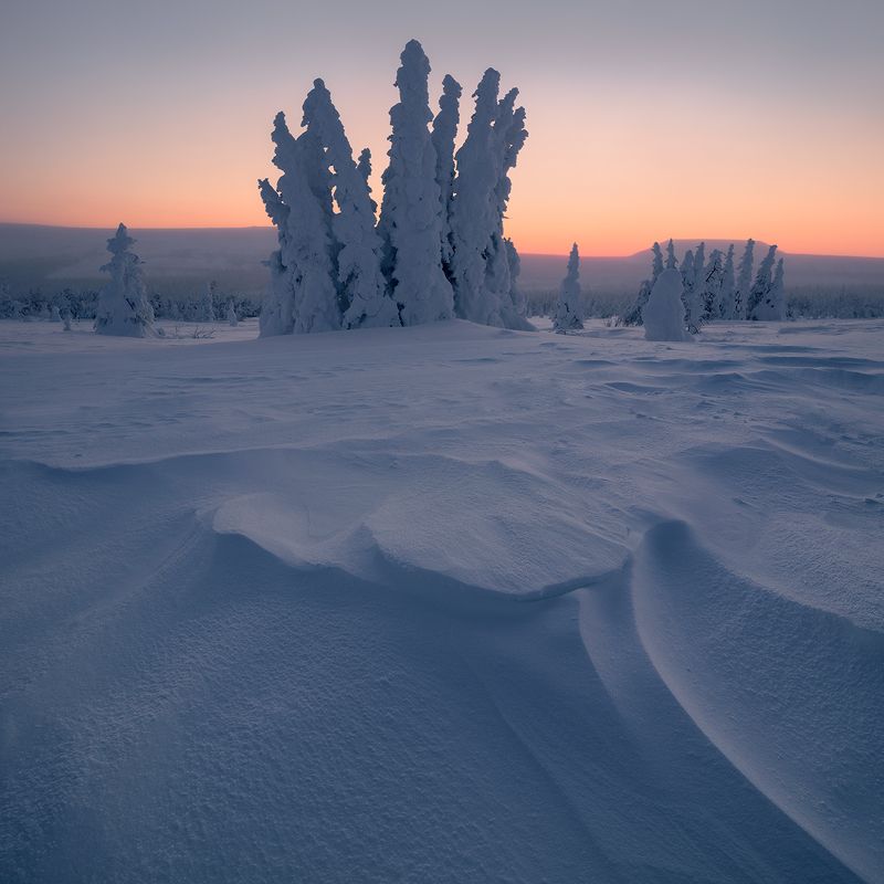 гух Предчувствие торжества... фото превью