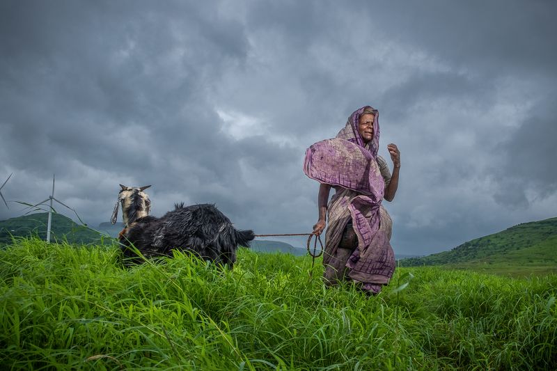 woman lady goat Lost in dream land....photo preview