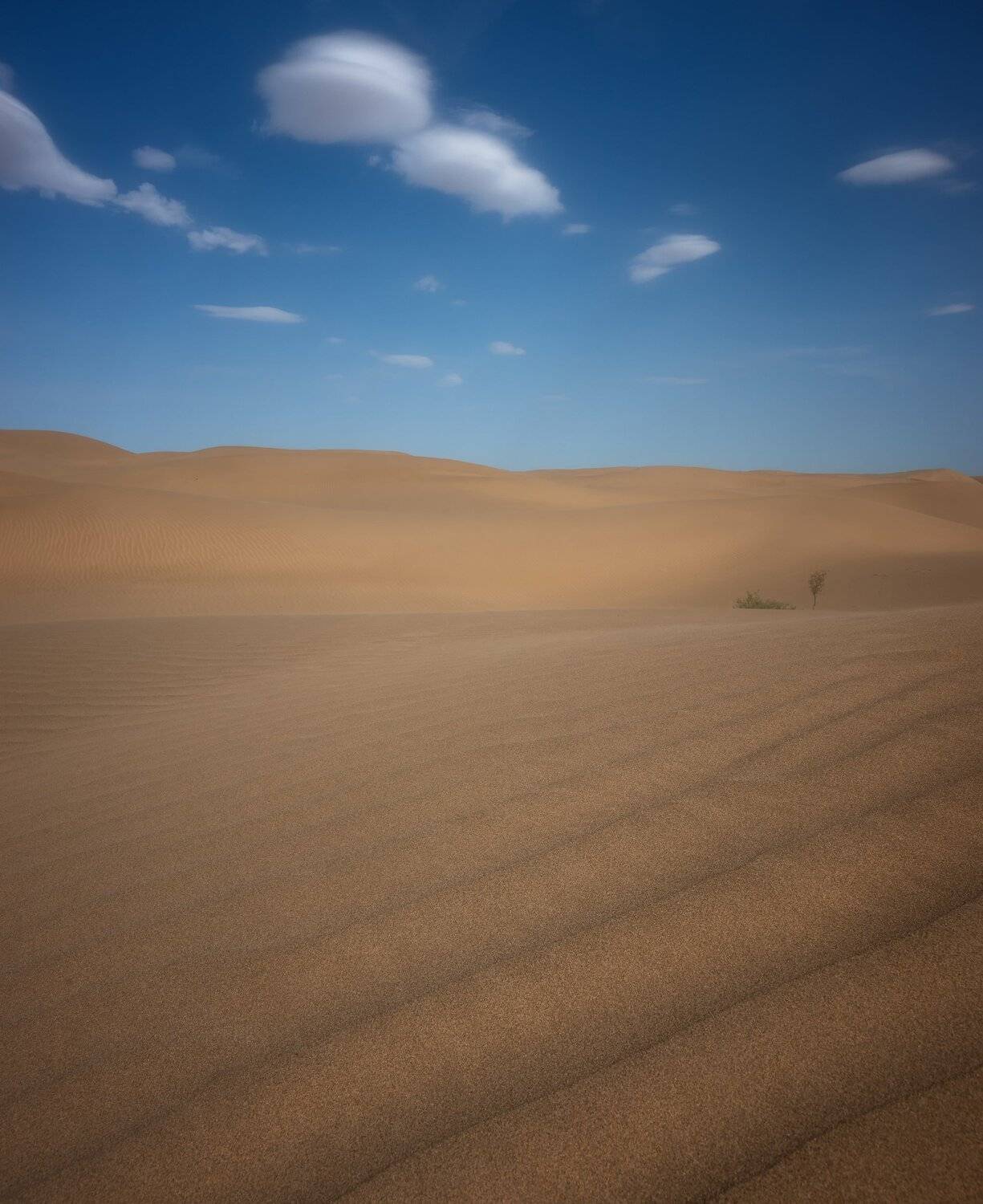 Каракумы. Автор: Алексей Козаченко , Алексей Козаченко