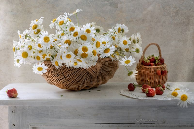 Ромашковое утроphoto preview