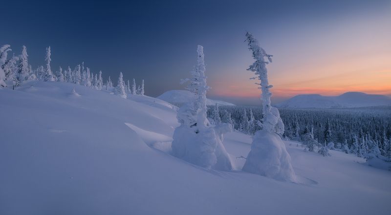 гух голубое безмолвие фото превью