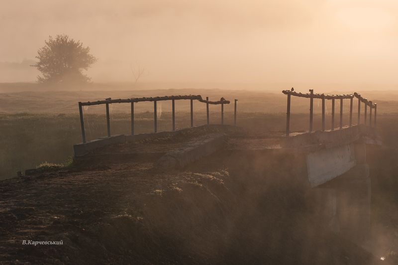 на пасдбищеphoto preview